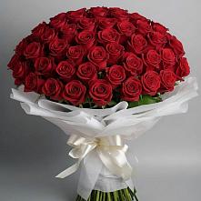 Букет 101 Красная роза Блэк Мэджик в Нефедово