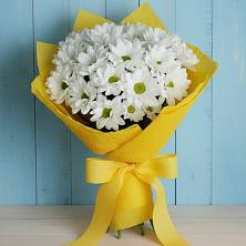 Букет цветов из:  Хризантемы в Нефедово