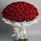 Букет 101 Красная роза Блэк Мэджик в Нефедово