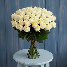 Букет 51 Белая роза Эдлесс Лав #REPLACE_PRED# Нефедово