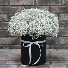 Цветочная композиция из Гипсофила в шляпной коробке #REPLACE_PRED# Нефедово